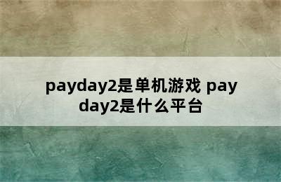 payday2是单机游戏 payday2是什么平台